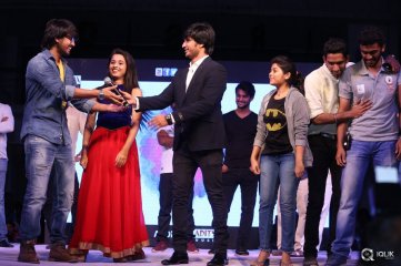 Seethamma Andaalu Raamayya Sithraalu Platinum Disc Function